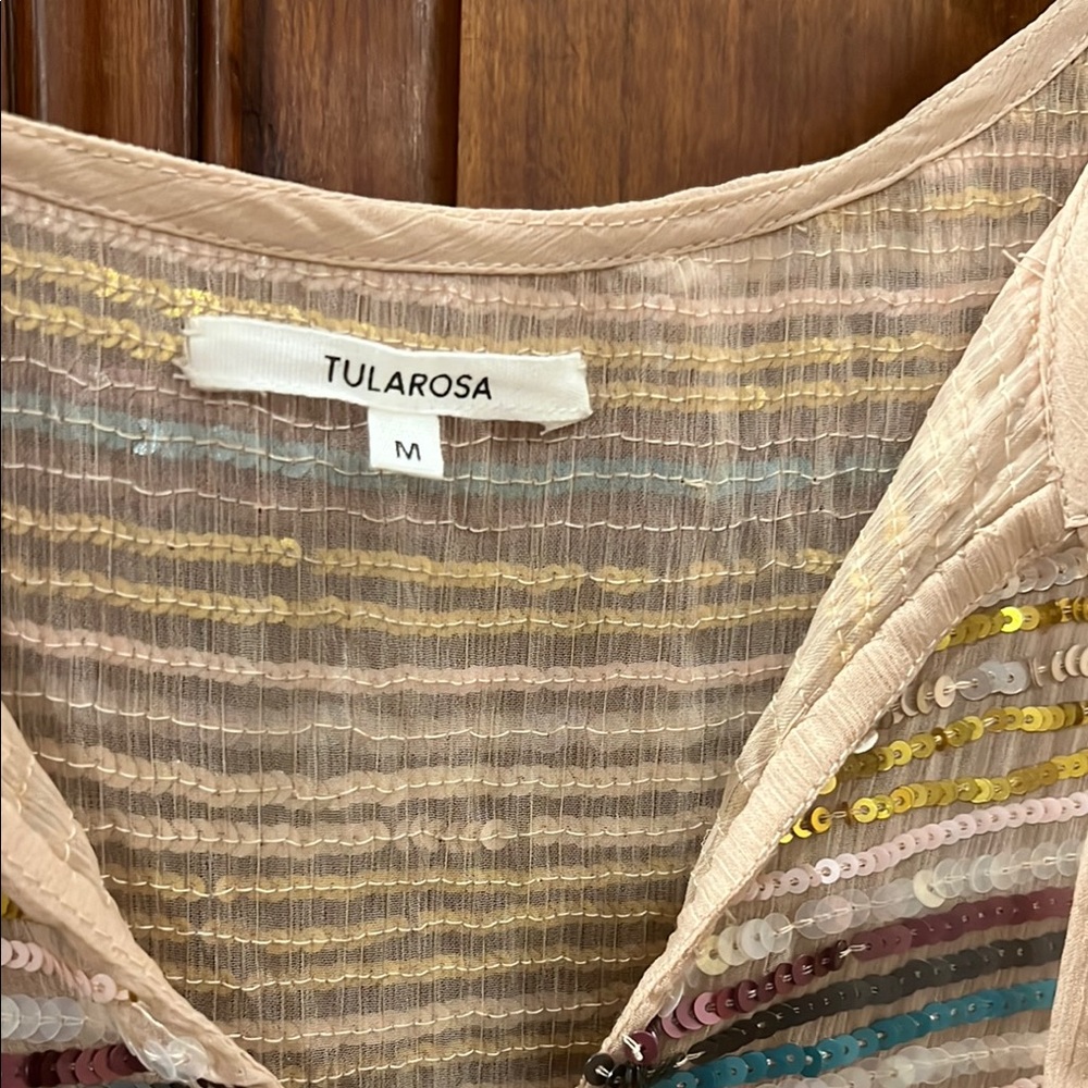 🎉HOST PICK🎉 Revolve | Tularosa Mason dress in Multicolor Sequin - Picture 2 of 7